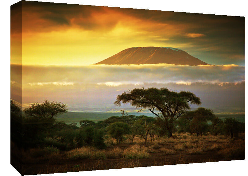 Kilimanjaro African sunset - Cotton Canvas Wall Art Picture Print - ALL SIZES