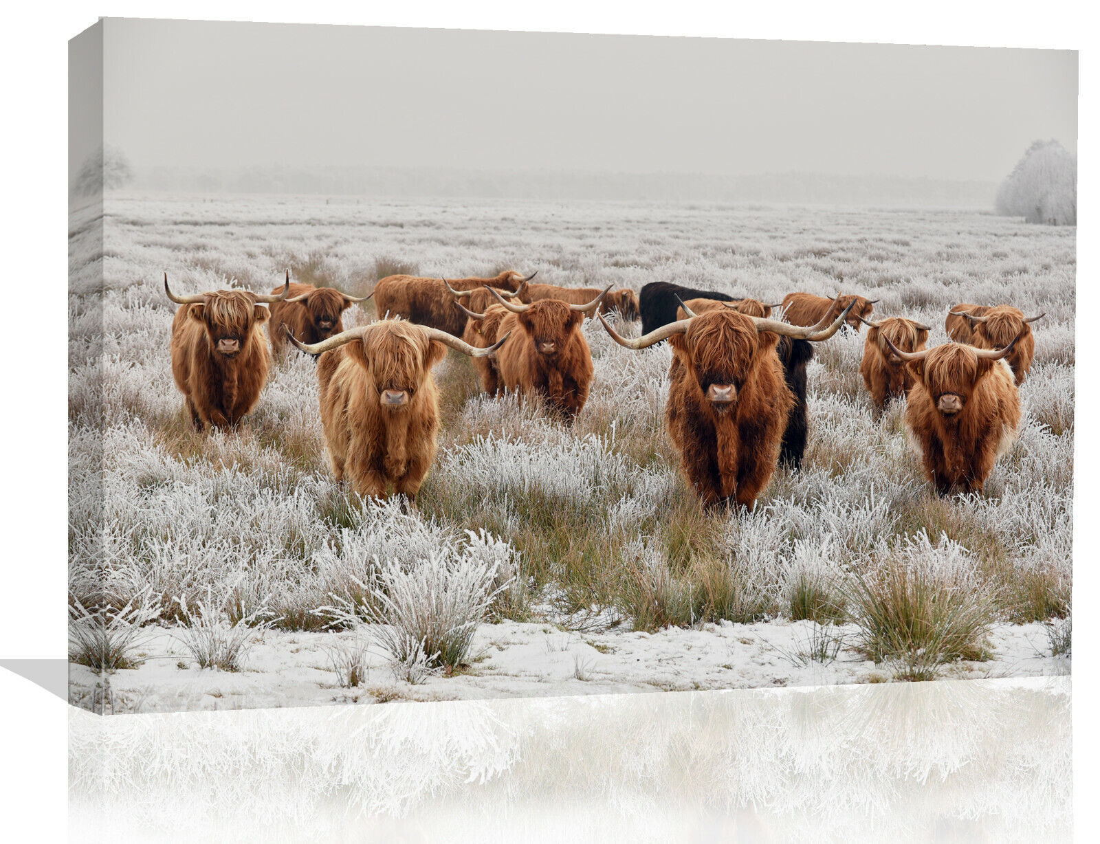 Herd Highland Cows in Winter Canvas Wall Art Picture Print - Brown grey