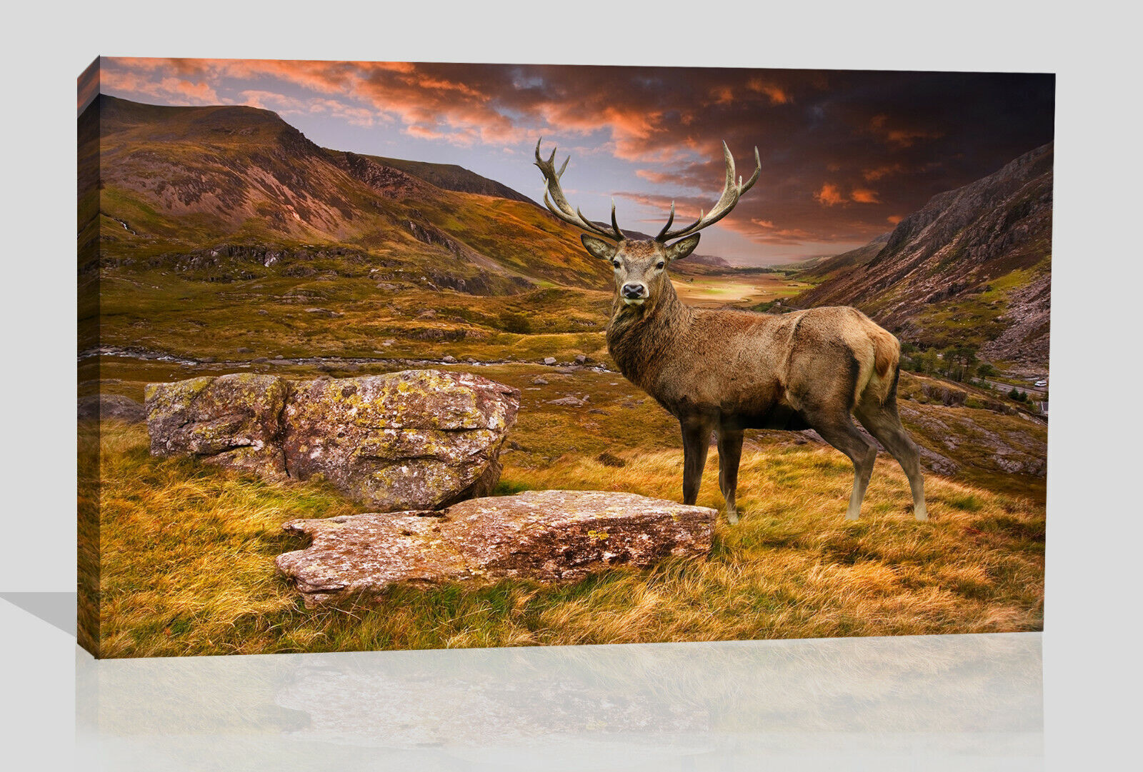 Red deer stag in moody mountain sunset landscape Canvas Wall Art Picture Print
