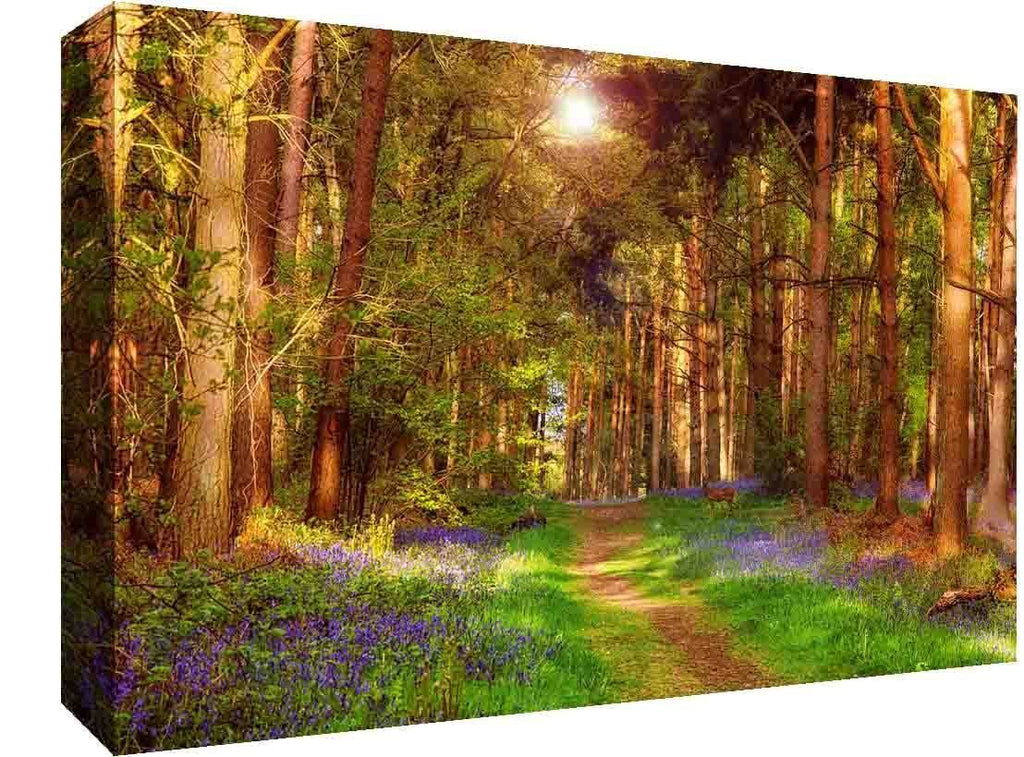 Sunny Forest Landscape - Premium Canvas Wall Art Picture Print - A0 A1 and more