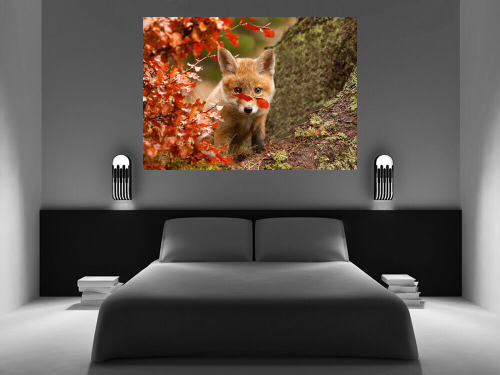 Cute Baby Fox in Autumn Canvas wall art print picture