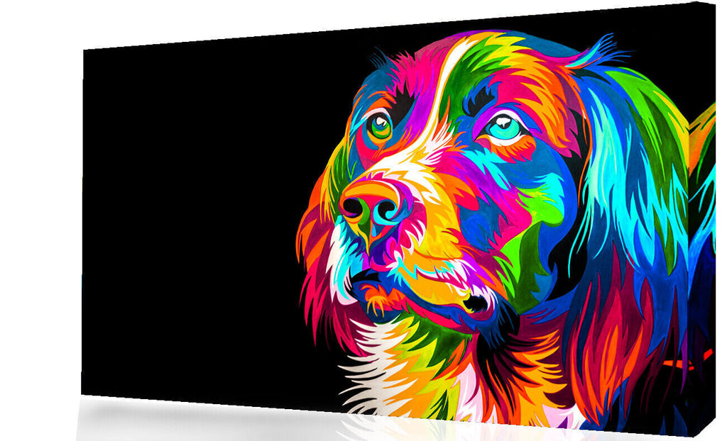 ANIMALS DOG CAT CANVAS WALL ART COLOURFUL Picture Print All sizes