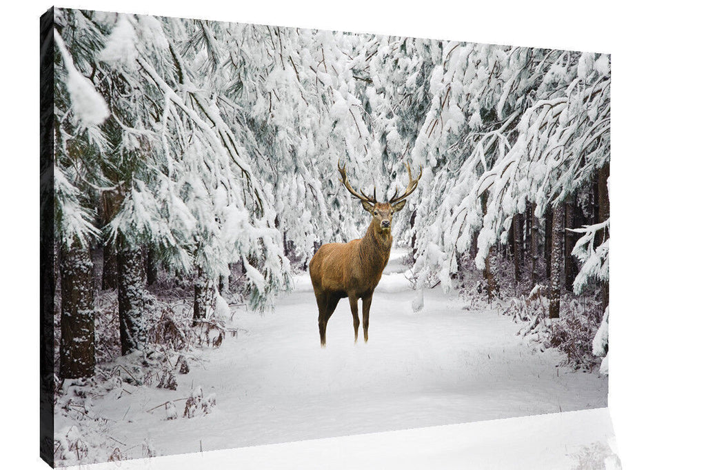 Deer in Snow Forest Winter Landscape Canvas Wall Art Animal Picture Print