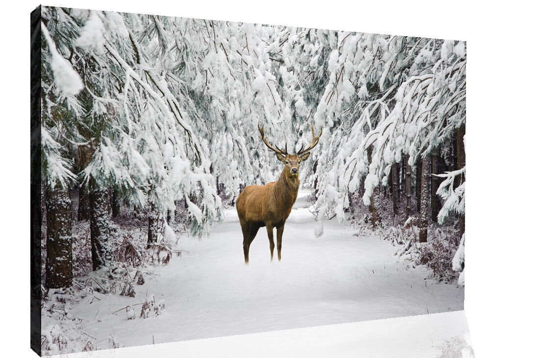 Deer in Snow Forest Winter Landscape Canvas Wall Art Animal Picture Print