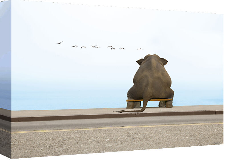 Elephant Sitting on Bench - Cotton Canvas Wall Art Picture Print- ALL SIZES