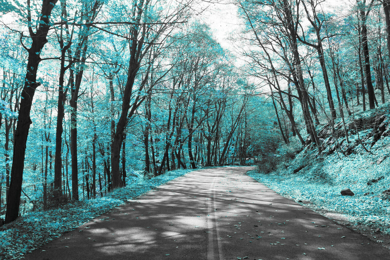 Duck Egg Blue Trees Lined Road Landscape Canvas Wall Art Picture Print ALL SIZES