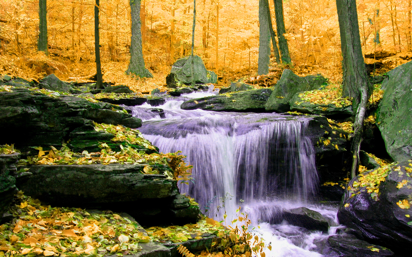 Gold Toned Waterfall in Forest Canvas Wall Art Picture Print All sizes & colours
