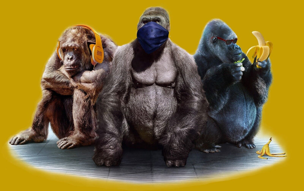 Mustard 3 Modern Wise Gorillas Abstract Canvas Wall Art Picture Print