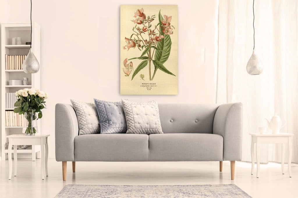 Vintage Royles Balsam Floral Flowers Illustration CANVAS WALL ART Picture Print