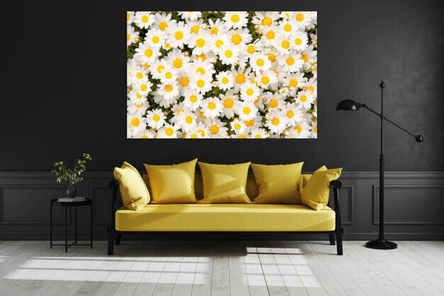 Daisy Meadow Flowers Canvas Wall Art Picture Print Artwork  - Yellow and white