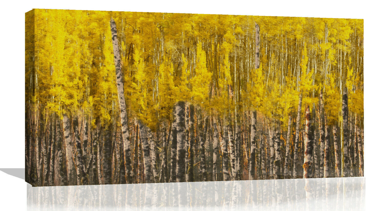 Yellow Aspen Trees Forest Nature Oil Painting CANVAS WALL ART Picture Print