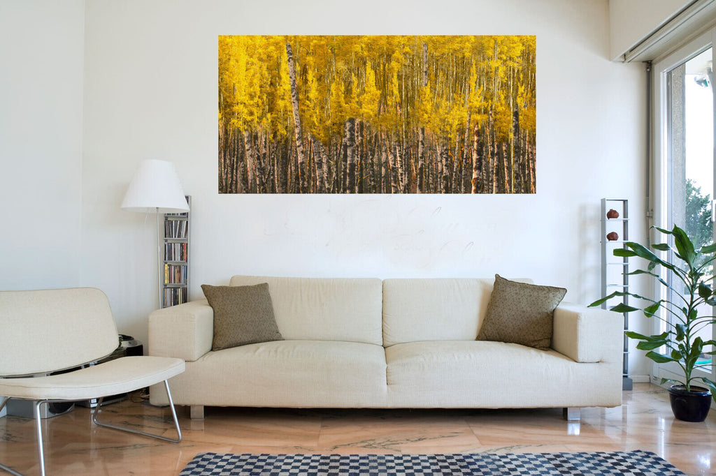 Yellow Aspen Trees Forest Nature Oil Painting CANVAS WALL ART Picture Print