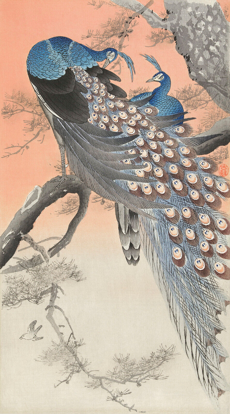 OHARA KOSON, TWO PEACOCKS ON TREE BRANCH Painting Canvas Wall Art Picture Print