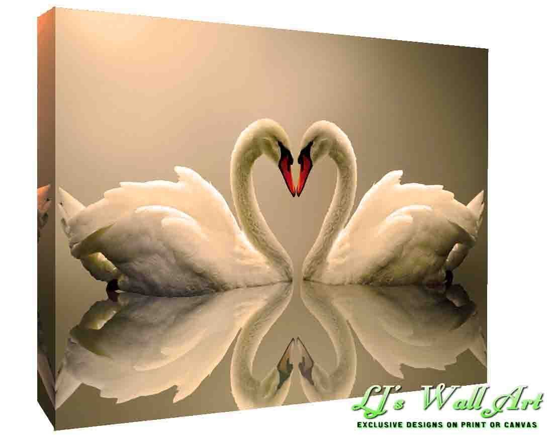 Loving Swans Animal  CANVAS WALL ART Picture Print