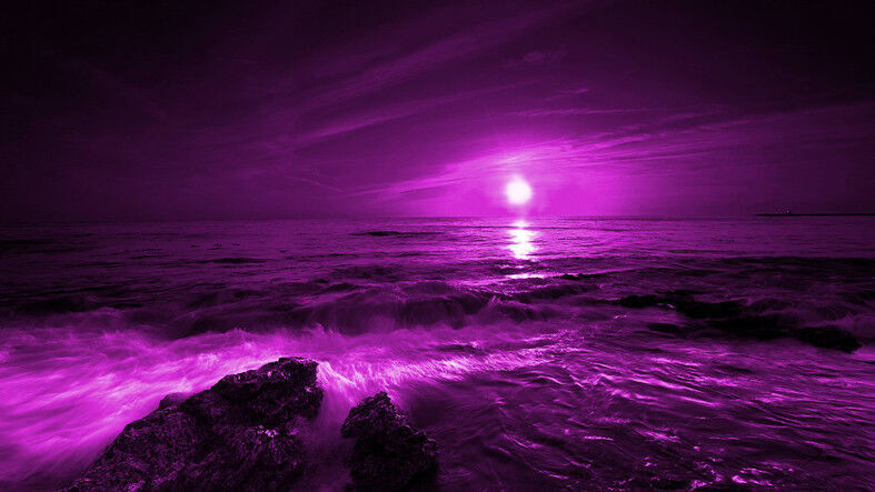 LARGE PURPLE PLUM SEASCAPE CANVAS PICTURE WALL ART Print - All Sizes