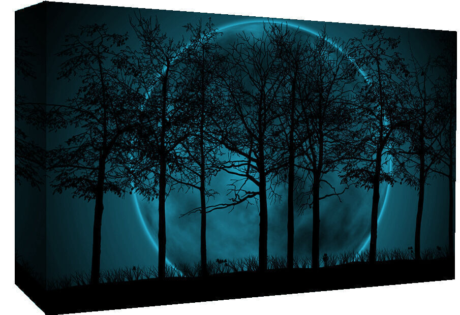 Duck Egg Blue Modern Landscape Cotton Canvas Wall Art Picture Print - All sizes