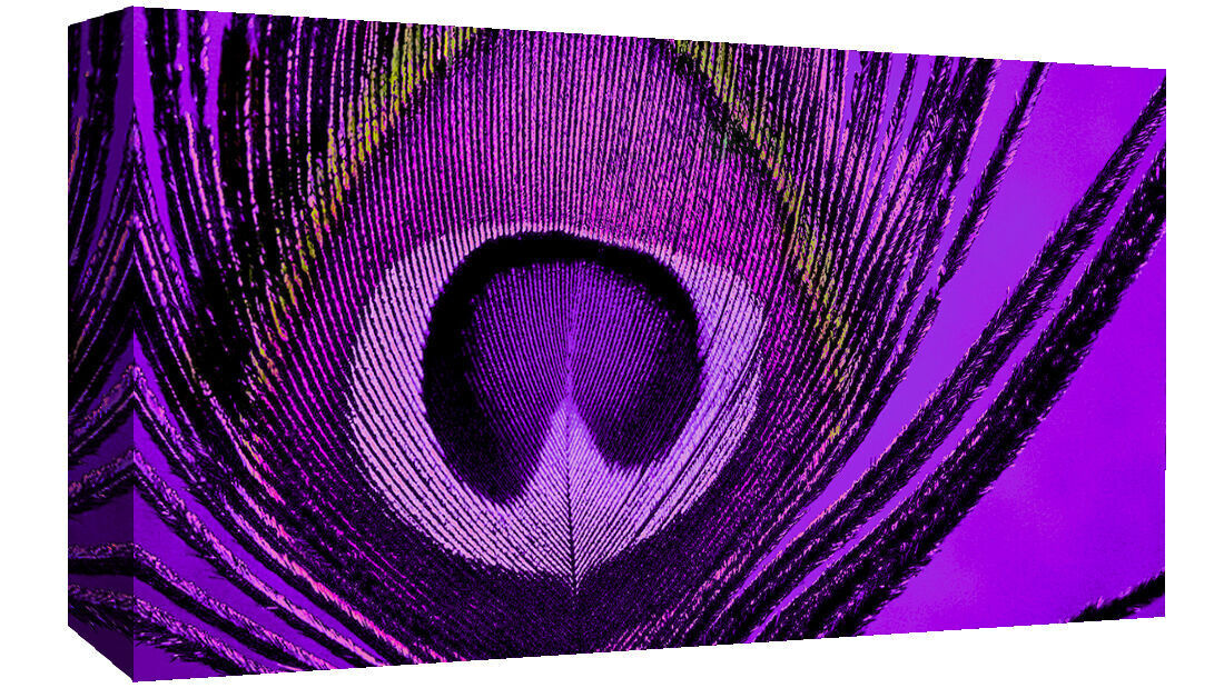 Abstract Peacock PURPLE CANVAS WALL ART Picture Print - All sizes