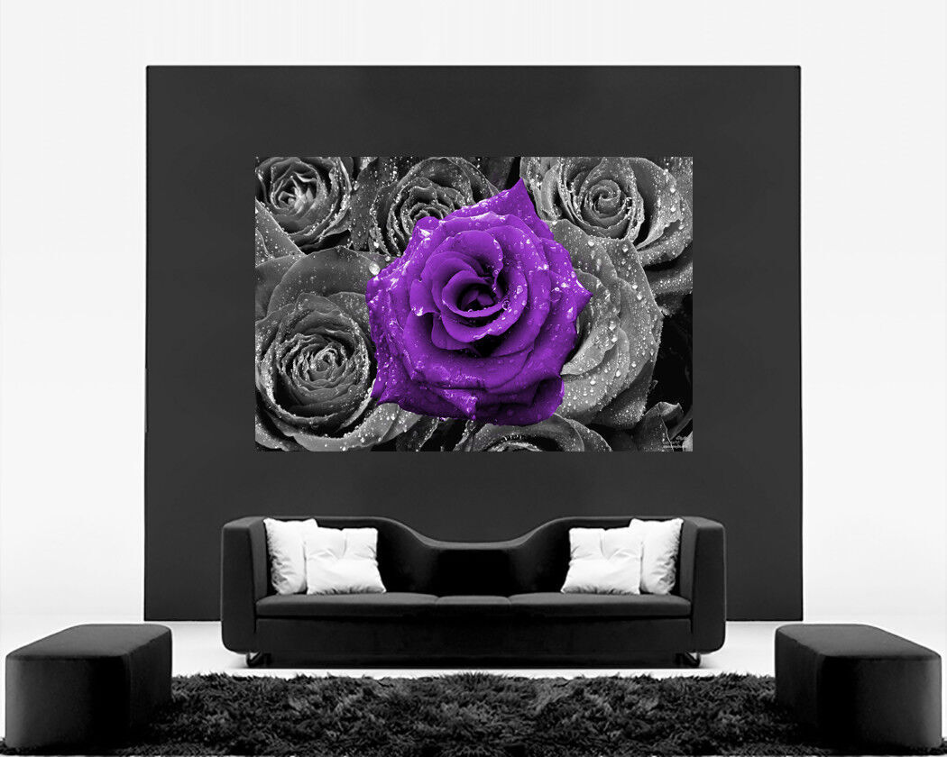 Floral Purple Rose on Bed of Roses Abstract CANVAS WALL ART Picture Print