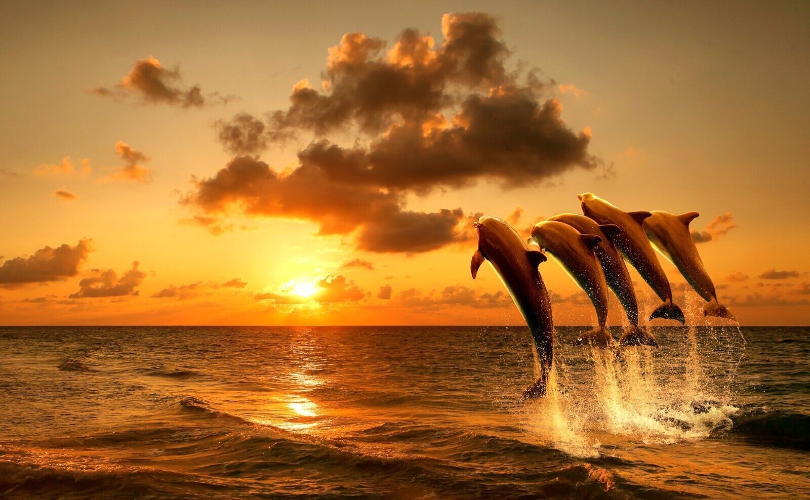 Yellow Sunset With Dolphins Jumping in Sea Canvas Wall Art Picture Print