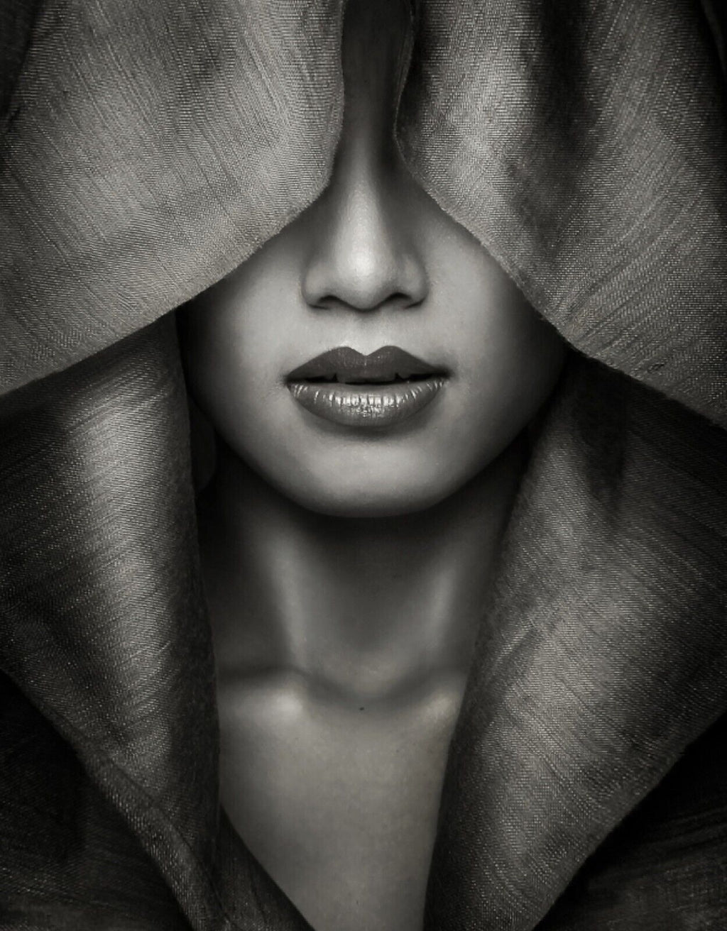 Black & White Mysterious Woman Face Hidden CANVAS WALL ART Picture Print