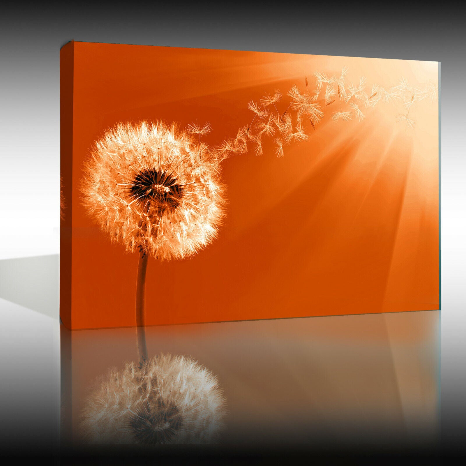 Orange Dandelion Blowing into Sunlight Canvas Wall Art Picture Print