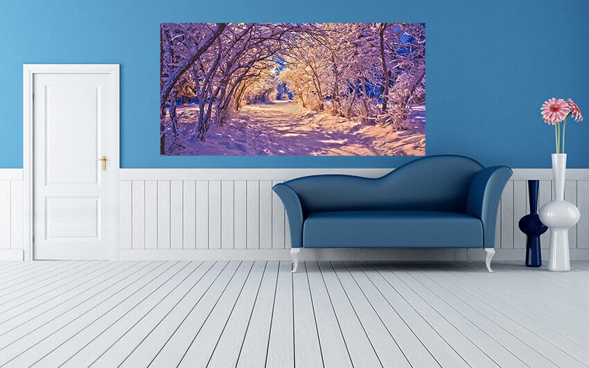 Sun Shining Through Tree Branches Onto Snowy Path Canvas Wall Art Picture Print