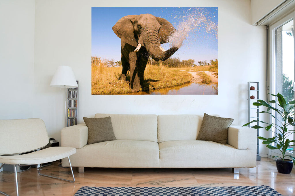 Elephant in Safari Splashing in Water Canvas Wall Art Picture Print