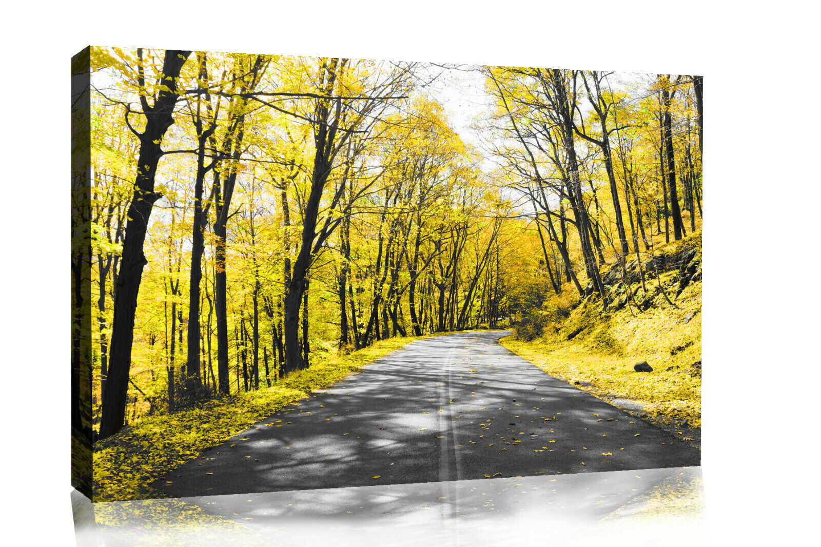 Yellow Trees Lined Road Landscape Canvas Wall Art Picture Print - ALL SIZES