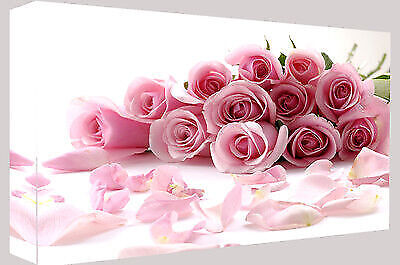 XLARGE PINK ROSES CANVAS PICTURE WALL ART A0 47" X 33" (118CM X 83CM)