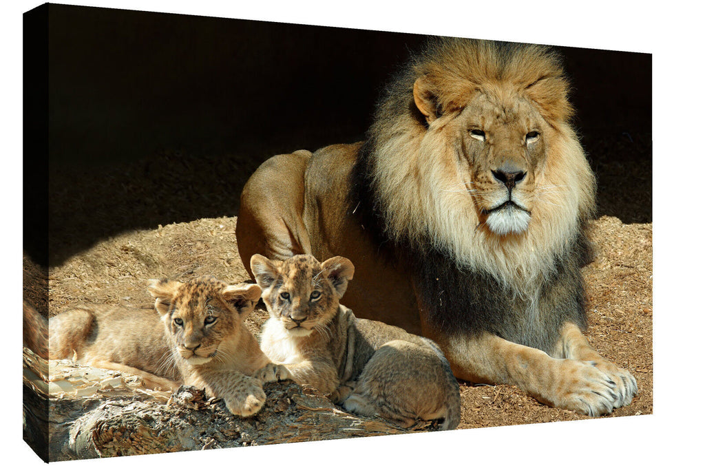 Lion and Cubs Wildlife Animal CANVAS WALL ART Picture Print, A1 A2 Various sizes