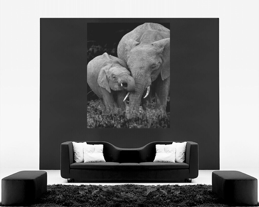 Elephants - Mum And Baby, Black And White Canvas Wall Art Picture Print