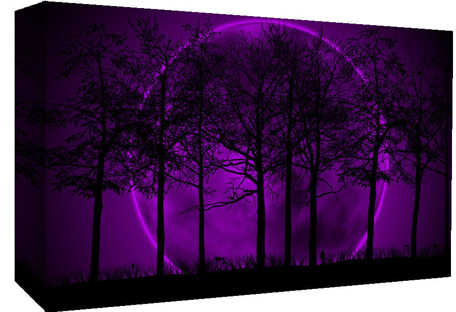 Purple & Black Modern Landscape Cotton Canvas Wall Art Picture Print - All sizes