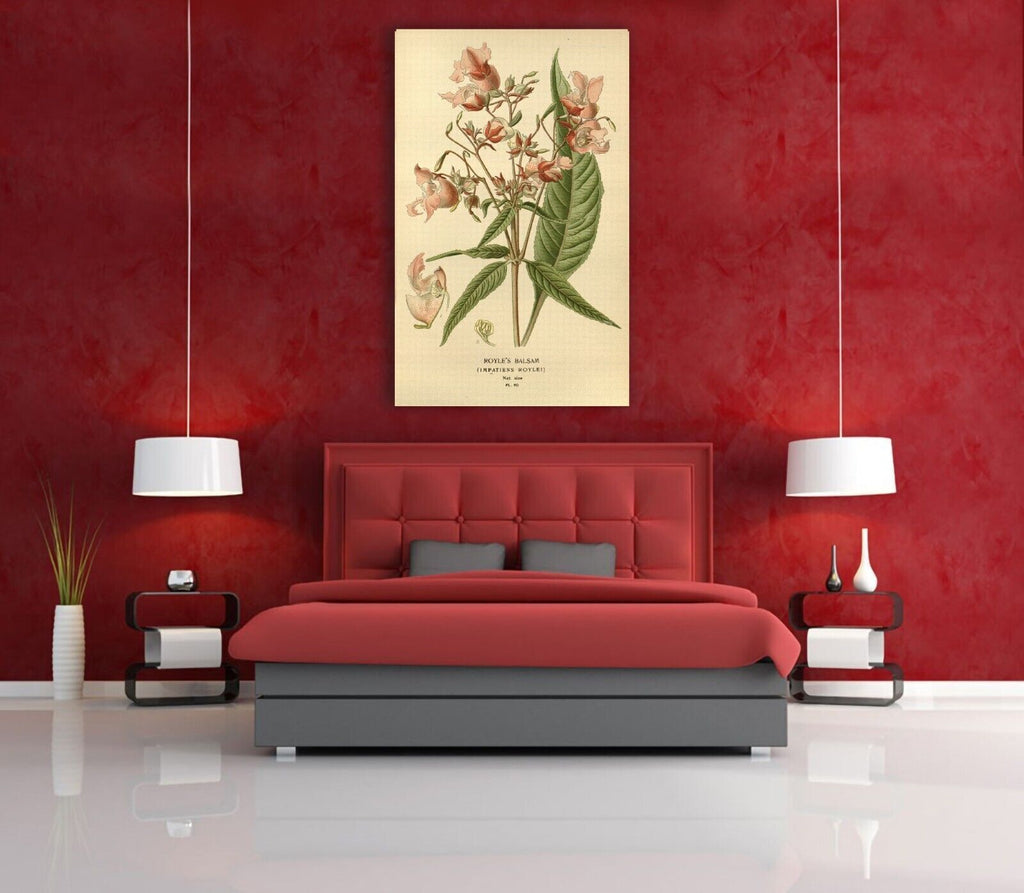 Vintage Royles Balsam Floral Flowers Illustration CANVAS WALL ART Picture Print