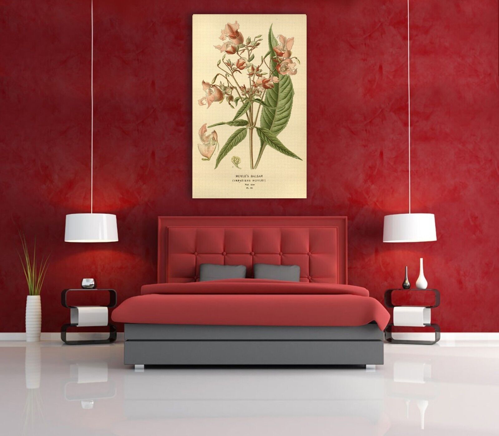 Vintage Royles Balsam Floral Flowers Illustration CANVAS WALL ART Picture Print