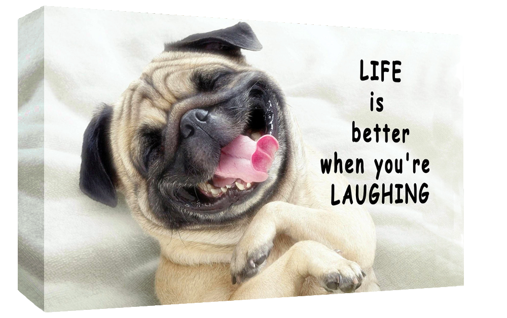 Life is Better Laughing Pug Dog Quote CANVAS WALL ART Picture Print A1, A2