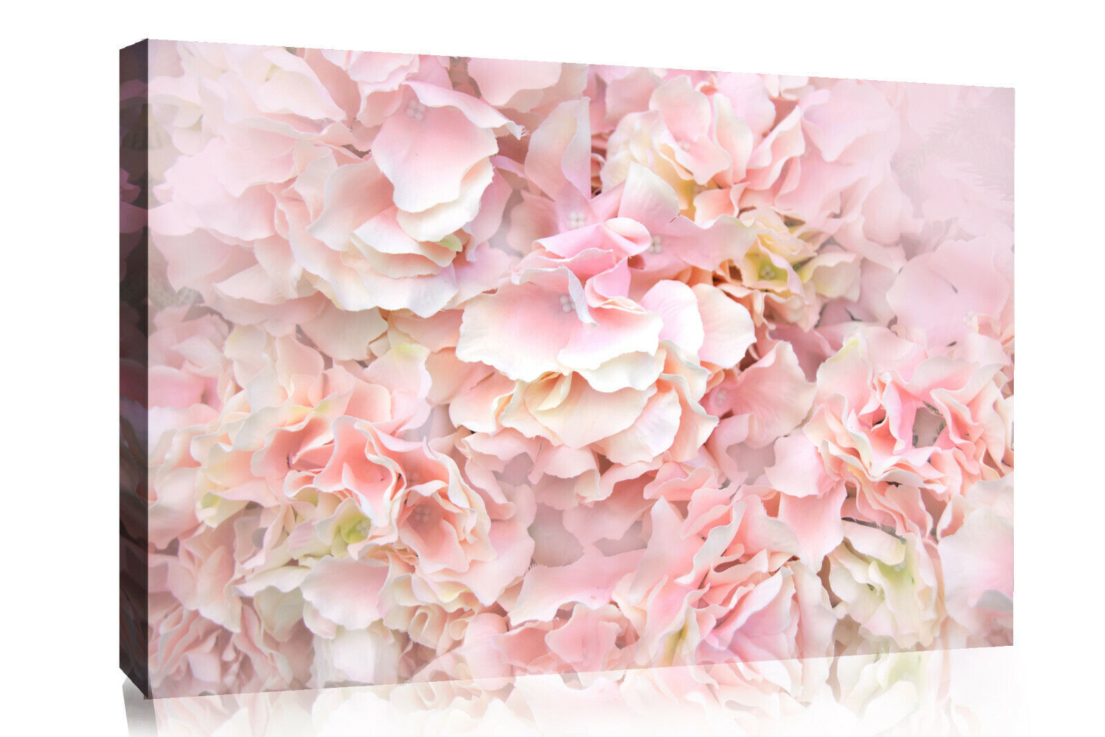 Pastel Pale Pink Flowers Floral Canvas Wall Art Print Picture