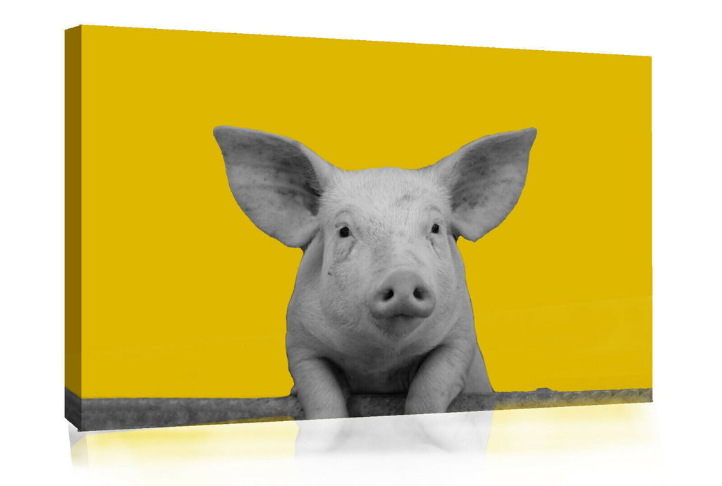 Mustard Yellow Grey Pig Abstract Canvas Wall Art Picture Print