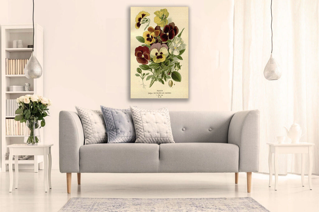 Vintage Pansy Floral Flowers Illustration CANVAS WALL ART Picture Print