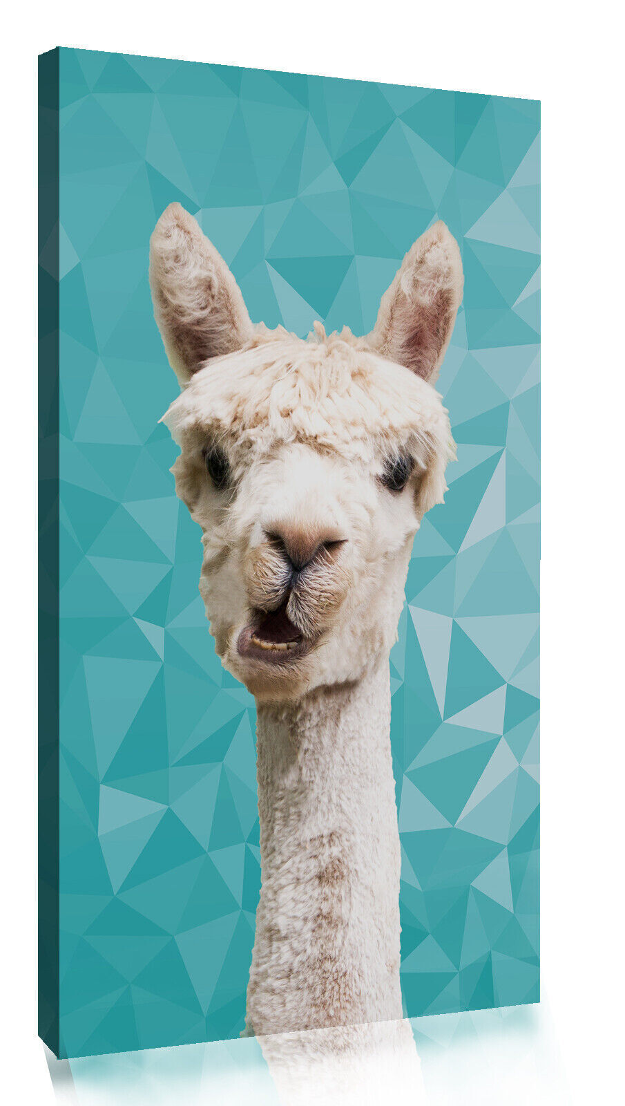 ALPACA ANIMAL DUCK EGG BLUE GEO CANVAS WALL ART PRINT ARTWORK