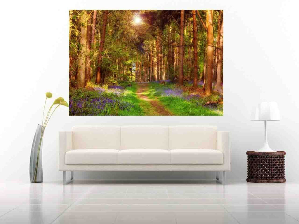 Sunny Forest Landscape - Premium Canvas Wall Art Picture Print - A0 A1 and more