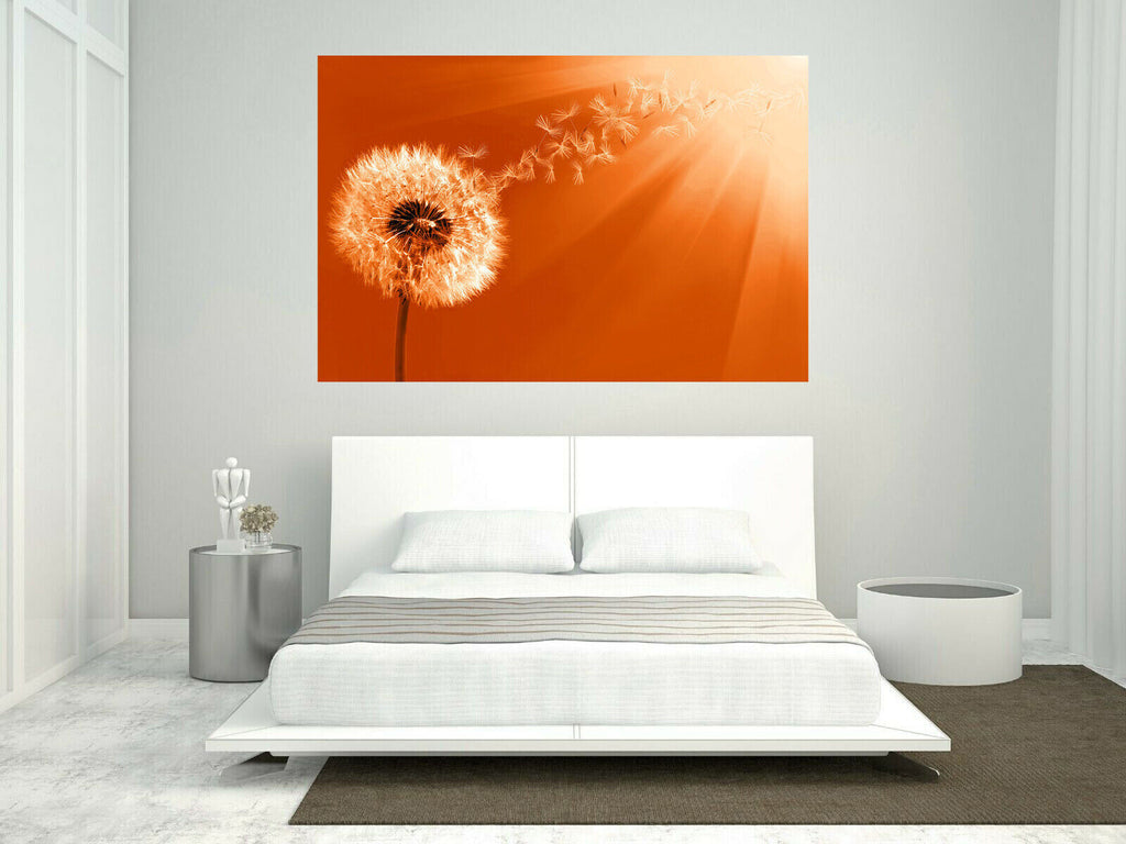 Orange Dandelion Blowing into Sunlight Canvas Wall Art Picture Print