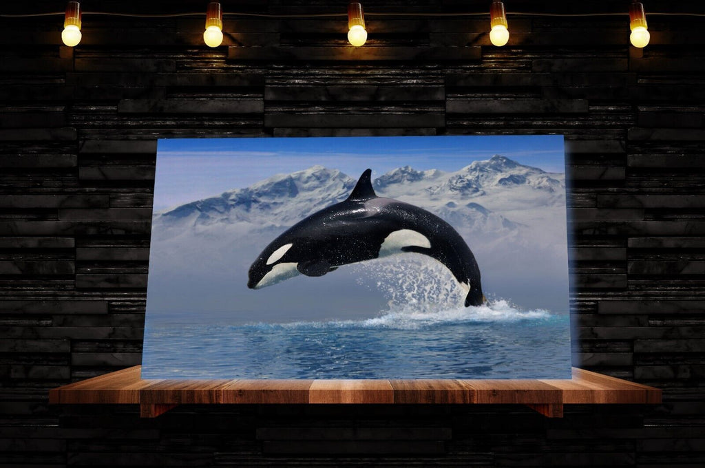 Orca Whale in Ocean Blue Canvas Wall Art Picture Print
