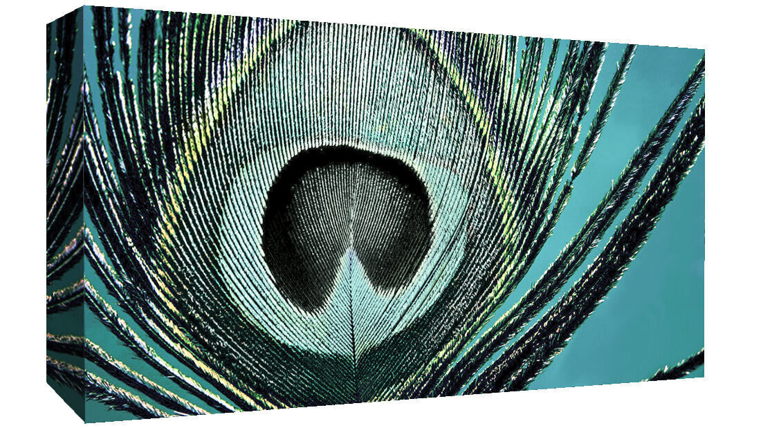 Abstract Peacock DUCK EGG BLUE CANVAS WALL ART Picture Print - All sizes