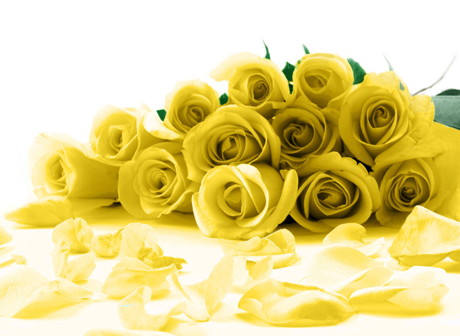 Yellow Roses Flower Canvas Wall Art Picture Print