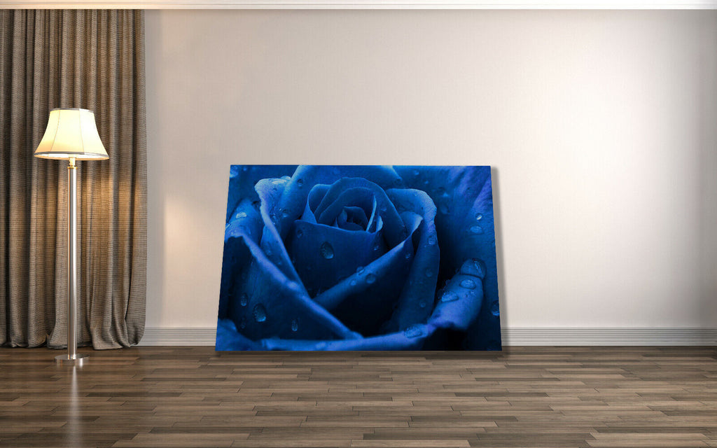 Dark Blue Rose with raindrops canvas wall art print picture artwork