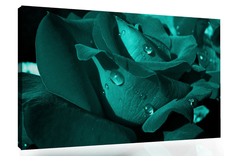 Close up Dark Teal Flower with raindrops Canvas Wall Art Picture Print