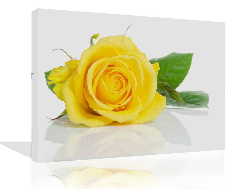Single Yellow Rose Flower Canvas Wall Art Picture Print
