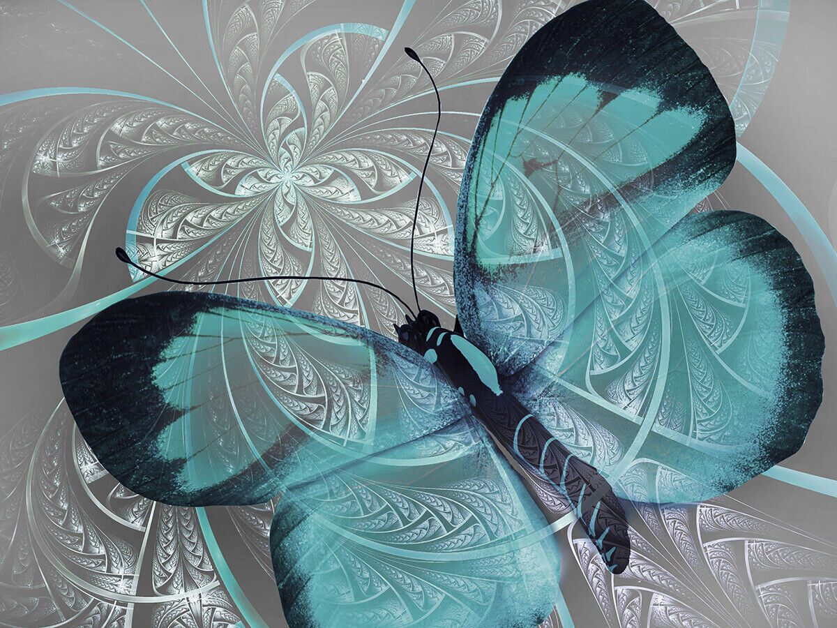 Abstract Canvas Print Butterfly Duck Egg Blue Grey Unique Wall Art Various Sizes