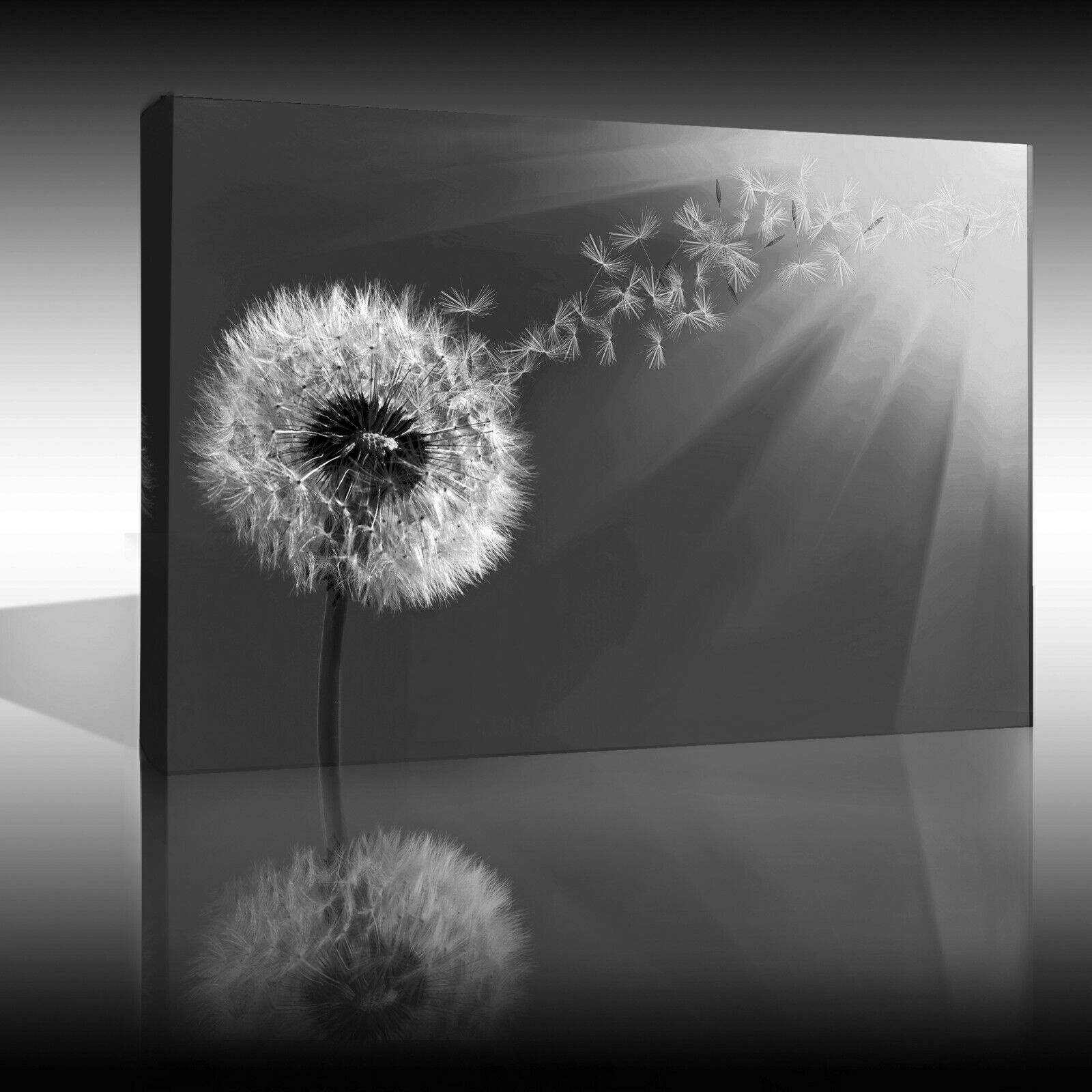 Grey Dandelion Blowing into Sunlight Canvas Wall Art Picture Print