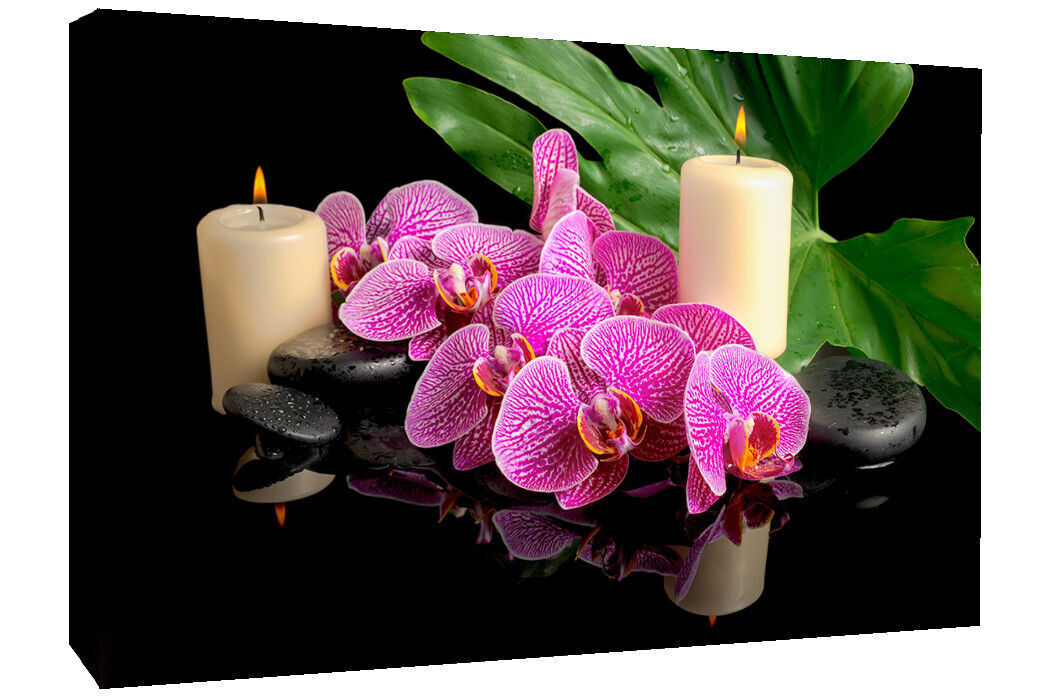 Pink Orchid Flowers Black Zen Stones Canvas Wall Art Picture Print - A0, A1, A2